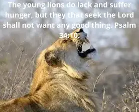 The Bible : Devotional